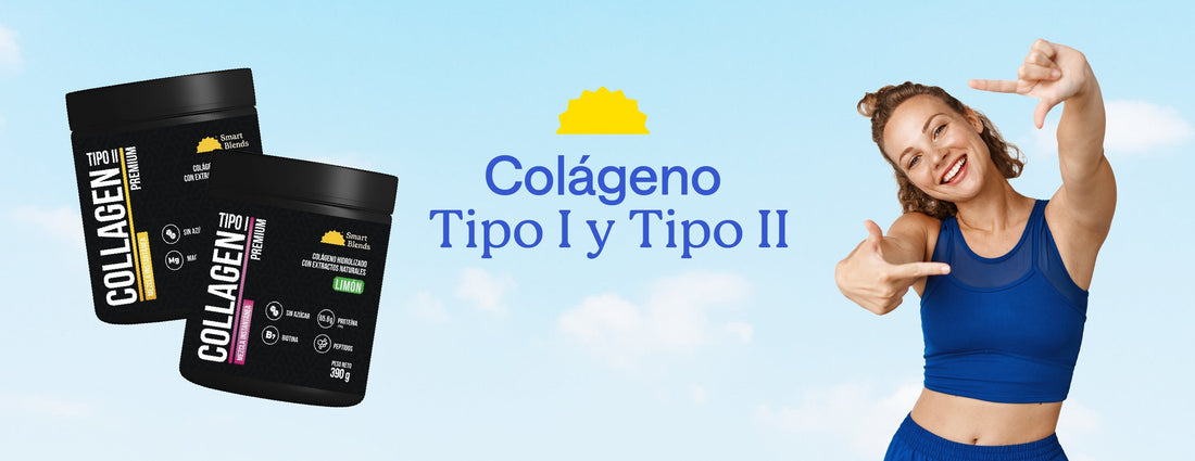Colágeno Tipo I y Tipo II Para Qué Sirve | SmartBlends