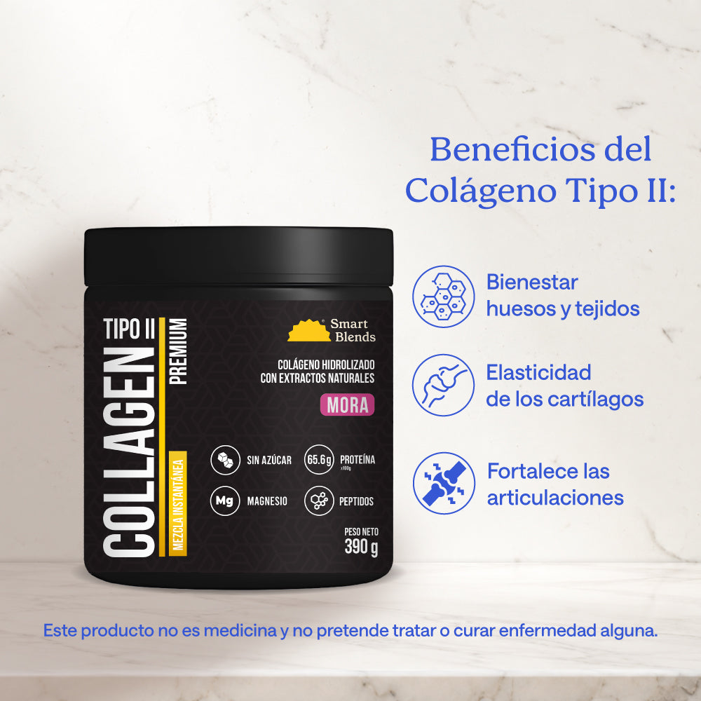 Colageno Hidrolizado Tipo 2 Premium Mora 390g